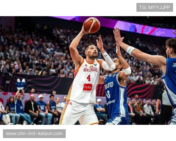 武切维奇21分10篮板4助攻，公牛内线支柱表现全面